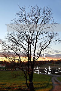 信用卡逾期工资卡冻结后(信用卡逾期多久会冻结工资卡)