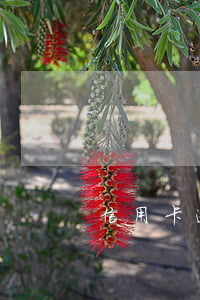 信用卡逾期巨額怎么走出來