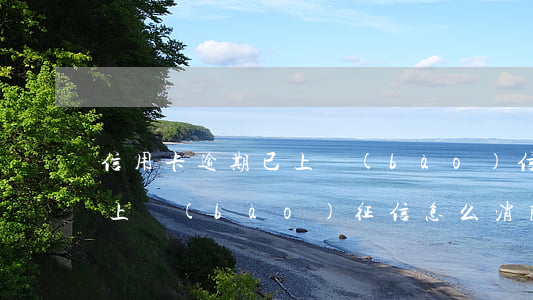 信用卡逾期已上報(bào) 信用卡逾期已上報(bào)征信怎么消除不良信息