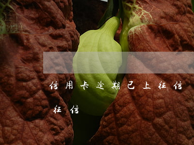信用卡逾期已上征信嗎怎么辦(信用卡 逾期 上征信)