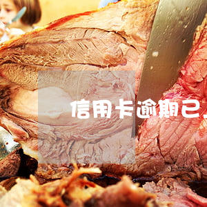 信用卡逾期已上征信怎么辦(征信逾期 信用卡)