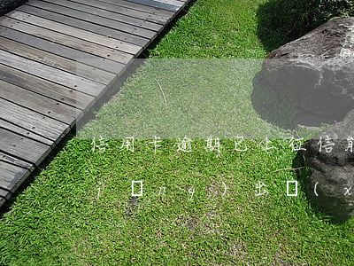 信用卡逾期已上征信能消除嗎(征信上已經(jīng)出現(xiàn)逾期,能通過(guò)銀行消除嗎)