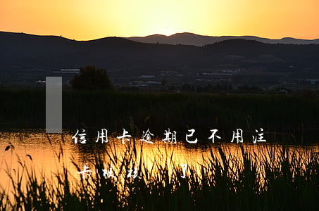 信用卡逾期已不用注銷(沒有逾期為什么信用卡被核銷了)