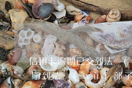 信用卡逾期已交到法務(wù)部(信用卡逾期到法務(wù)部了多久會立案)