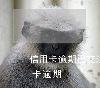 信用卡逾期已交法催部(銀行讓司法所催信用卡逾期)