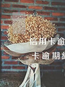 信用卡逾期已交經(jīng)偵大隊(信用卡逾期經(jīng)偵已拘留)