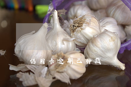 信用卡逾期已仲裁