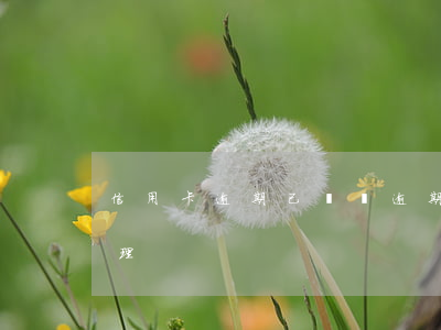 信用卡逾期已償還(逾期還清的信用卡怎么處理)
