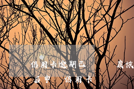 信用卡逾期已償還額度恢復嗎(嚴重逾期還清后申請信用卡)