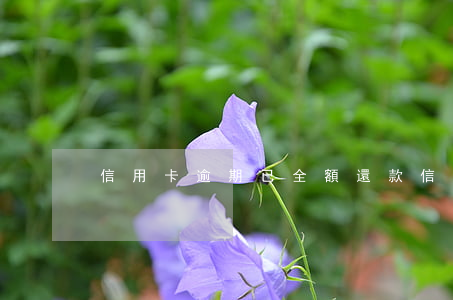 信用卡逾期已全額還款(信用卡超額還款)