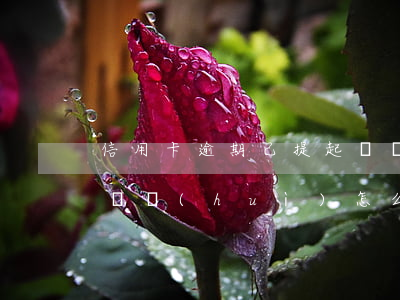 信用卡逾期已提起訴訟 信用卡逾期已提起訴訟會(huì)怎么樣