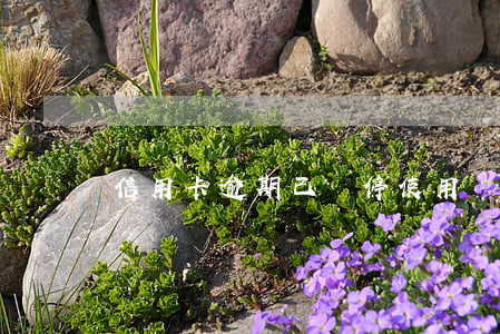 信用卡逾期已暫停使用