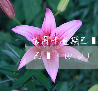 信用卡逾期已無(wú)法再借 信用卡逾期已無(wú)法再借