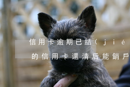 信用卡逾期已結(jié)清可以銷戶(逾期的信用卡還清后能銷戶嗎)