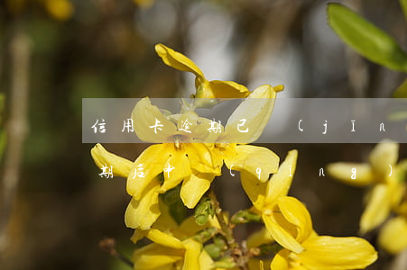 信用卡逾期已經(jīng)上傳人行-逾期后申請(qǐng)信用卡