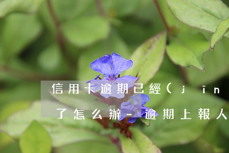 信用卡逾期已經(jīng)上報人民銀行了怎么辦-逾期上報人民銀行征信會有什么情況