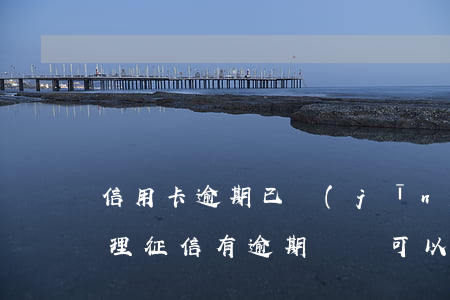 信用卡逾期已經(jīng)上征信怎么處理(征信有逾期記錄可以申請信用卡嗎)