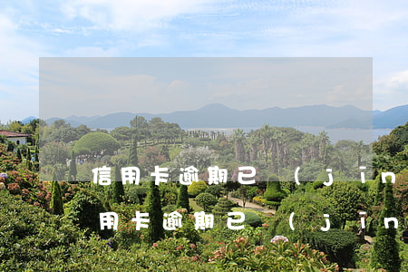 信用卡逾期已經(jīng)交給第三方(信用卡逾期已經(jīng)交給第三方,如何協(xié)商)