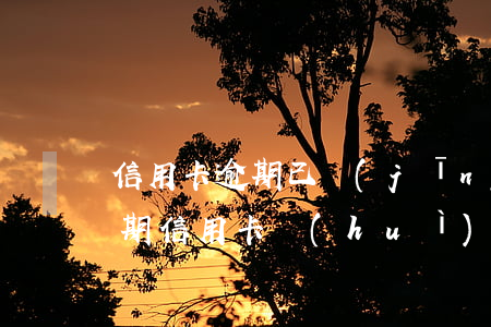 信用卡逾期已經(jīng)?？?貸款有逾期信用卡會(huì)被停嗎)