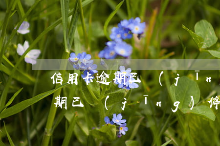 信用卡逾期已經(jīng)停息(信用卡逾期已經(jīng)停息還能用嗎)