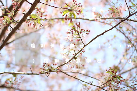 信用卡逾期已經(jīng)凍結(jié) 信用卡逾期已經(jīng)凍結(jié)怎么辦