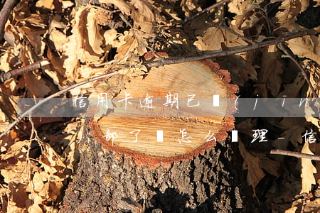 信用卡逾期已經(jīng)到法務(wù)部了該怎么處理-信用卡逾期已經(jīng)到法務(wù)部了該怎么處理呢