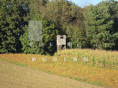 信用卡逾期已經(jīng)坦白(得了白血病信用卡逾期)