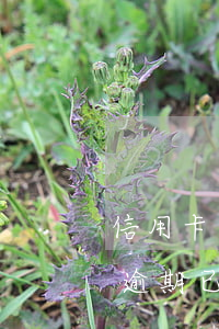 信用卡逾期已經(jīng)家訪-信用卡逾期已經(jīng)家訪通知家長(zhǎng)
