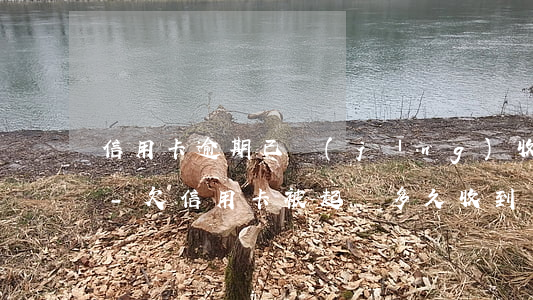 信用卡逾期已經(jīng)收到法院傳票-欠信用卡被起訴多久收到傳票
