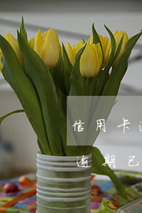 信用卡逾期已經(jīng)立案了(信用卡逾期已經(jīng)立案了怎么辦開庭一定要去嗎)