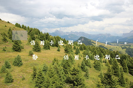 信用卡逾期已經(jīng)立案了有什么影響嗎（信用卡逾期已經(jīng)立案了有什么影響）