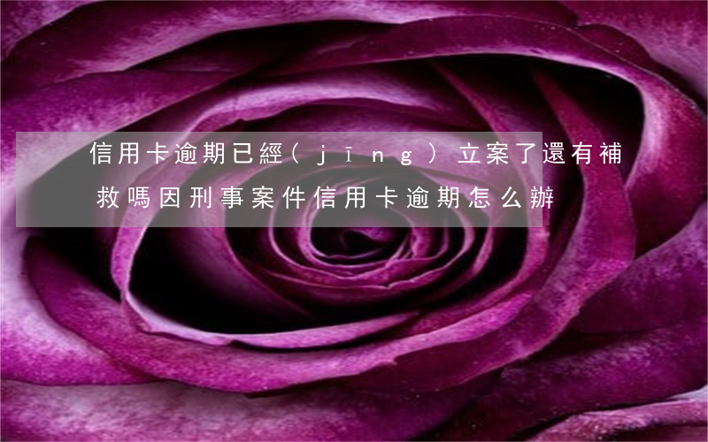 信用卡逾期已經(jīng)立案了還有補救嗎(因刑事案件信用卡逾期怎么辦)