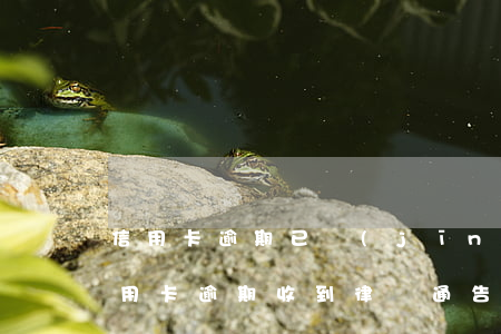 信用卡逾期已經(jīng)立案文書了(信用卡 逾期 收到 律師 通告)