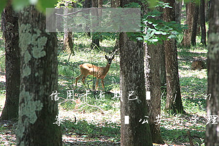 信用卡逾期已經(jīng)結(jié)案了怎么辦(公安局受理信用卡逾期案件嗎)