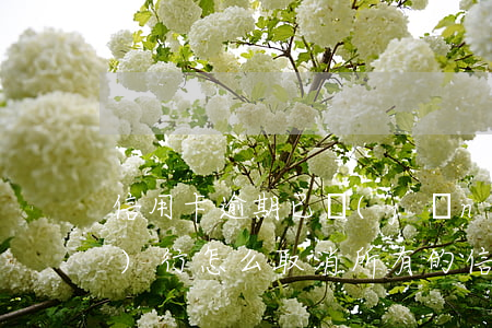 信用卡逾期已經(jīng)被執(zhí)行怎么取消(所有的信用卡逾期怎么辦)