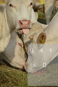 信用卡逾期已經(jīng)被逮捕家人怎么辦