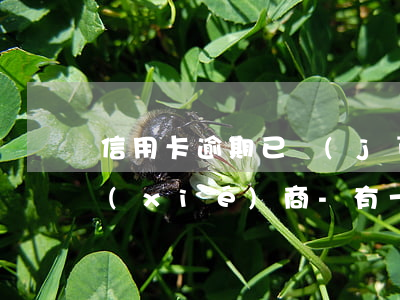 信用卡逾期已經(jīng)被限高怎么協(xié)商-有一次逾期申請(qǐng)信用卡會(huì)拒嗎