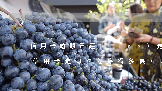 信用卡逾期已經(jīng)走司法程序(欠信用卡走司法程序得多長(zhǎng)時(shí)間)