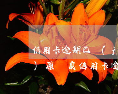 信用卡逾期已經(jīng)超過(guò)原額度(信用卡逾期已經(jīng)超過(guò)原額度)