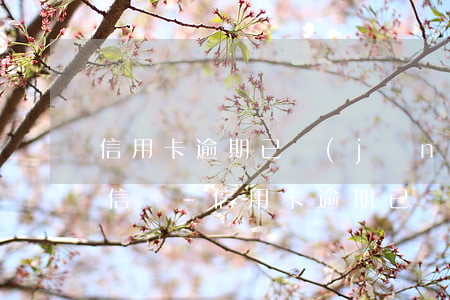 信用卡逾期已經(jīng)還了會影響征信嗎-信用卡逾期已經(jīng)還了會影響征信嗎怎么辦