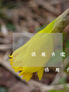 信用卡逾期已經(jīng)還完最低還款嗎 信用卡逾期已經(jīng)還完最低還款嗎會怎么樣