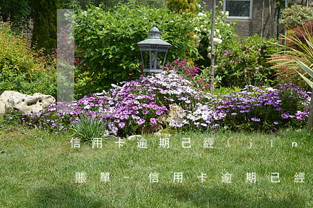 信用卡逾期已經(jīng)還清怎么還有賬單-信用卡逾期已經(jīng)還清怎么還有賬單記錄