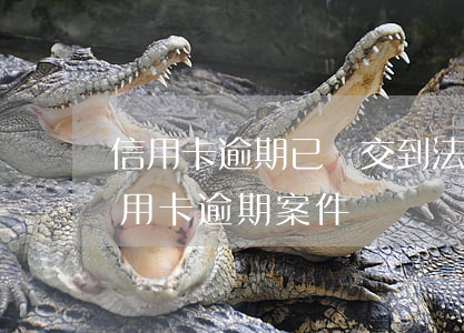信用卡逾期已經交到法院(法院現在還接受信用卡逾期案件嗎)