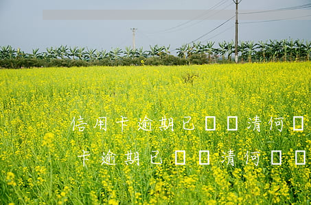 信用卡逾期已經還清何時會申請貸款-信用卡逾期已經還清何時會申請貸款呢