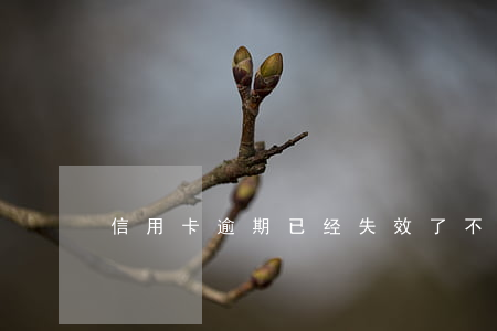 信用卡逾期已经失效了(不小心信用卡逾期)