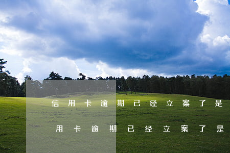 信用卡逾期已经立案了是哪里给打电话-信用卡逾期已经立案了是哪里给打电话的