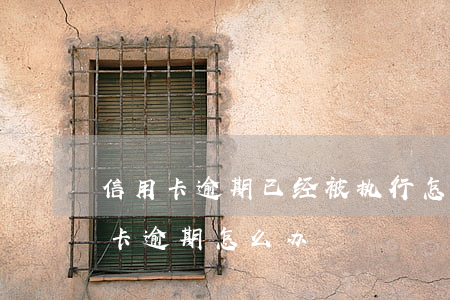 信用卡逾期已经被执行怎么取消(所有的信用卡逾期怎么办)