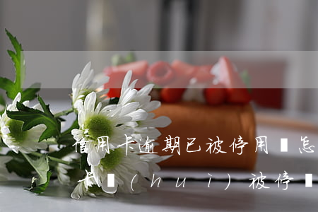 信用卡逾期已被停用該怎么(貸款有逾期信用卡會(huì)被停嗎)