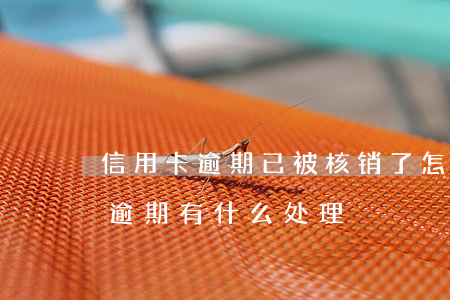 信用卡逾期已被核销了怎么办(今年的信用卡逾期有什么处理)