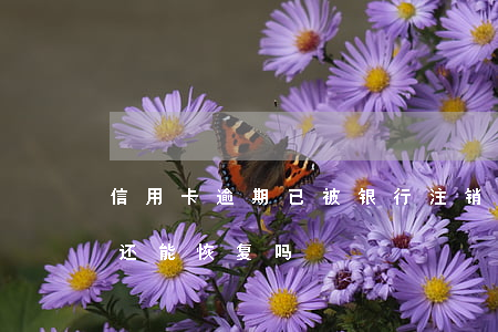 信用卡逾期已被银行注销 逾期注销的信用卡还能恢复吗
